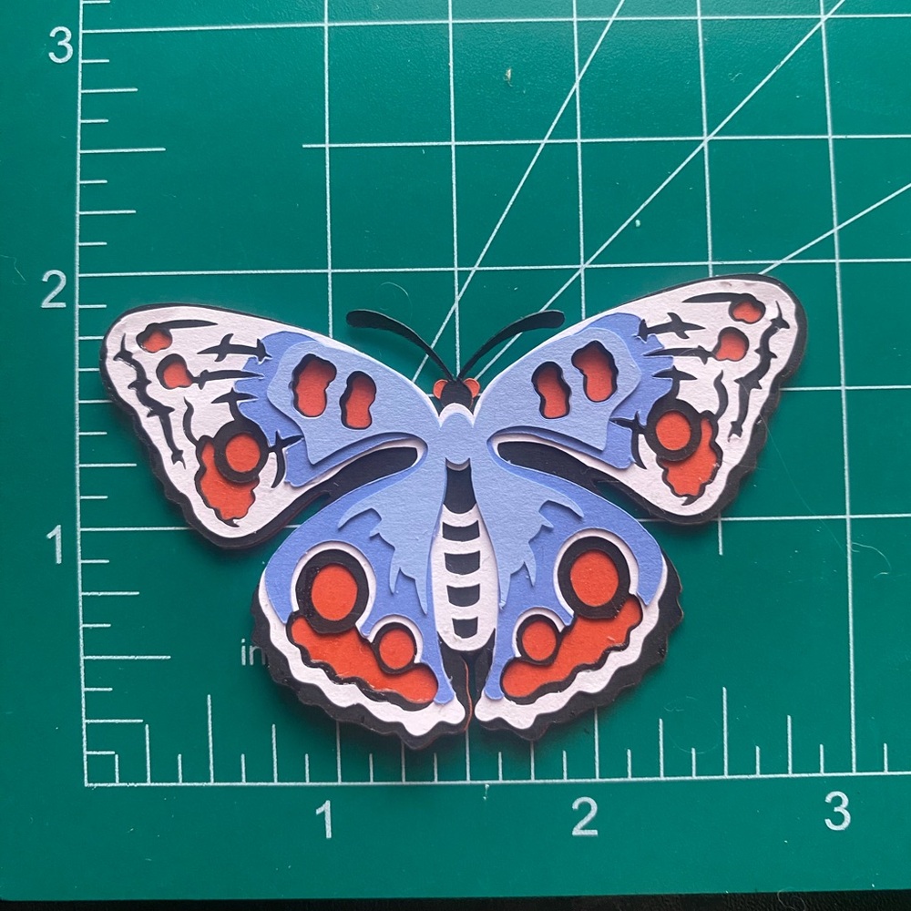 3D Magnet Buckeye Butterfly